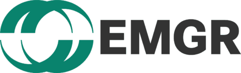 Germany's Reunification logo